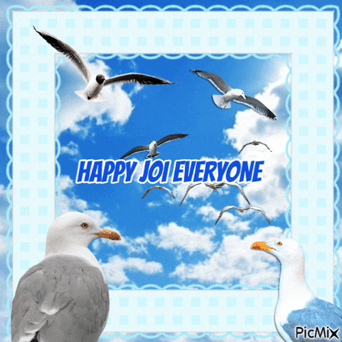 a picture of seagulls with the words happy joi everyone above them
