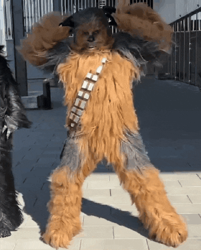 a chewbacca costume with a checkered belt
