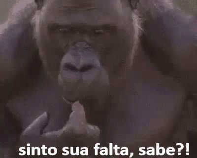 Gorila Sinto Sua Falta Saudade GIF - Missyou Gorila Thinking GIFs