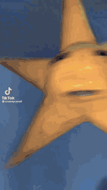 a close up of a person 's arm with a tiktok watermark on the bottom