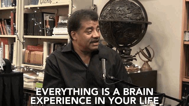 Everything Is A Brain Experience In Your Life All Connected To Our Mind GIF - Everything Is A Brain Experience In Your Life All Connected To Our Mind All Is Connected GIFs
