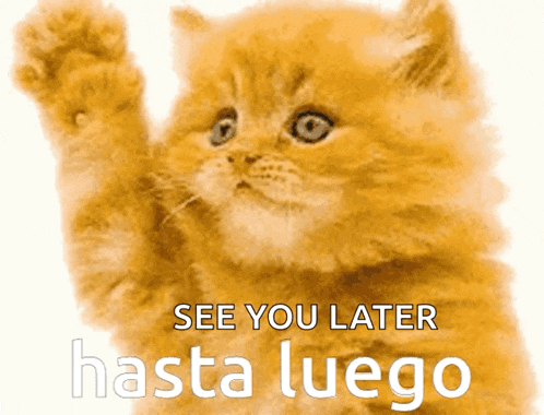 a picture of a cat with the words see you later hasta luego