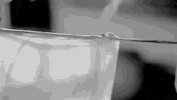a black and white photo of a glass of liquid