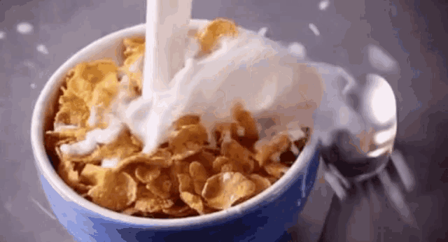 milk is being poured into a bowl of cornflakes .