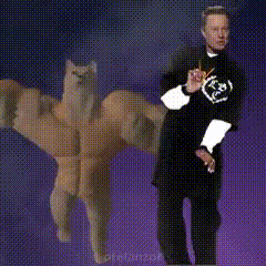 a man in a black shirt is standing next to a cat with huge muscles