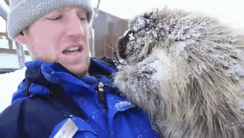 a man in a blue jacket is holding a porcupine covered in snow .