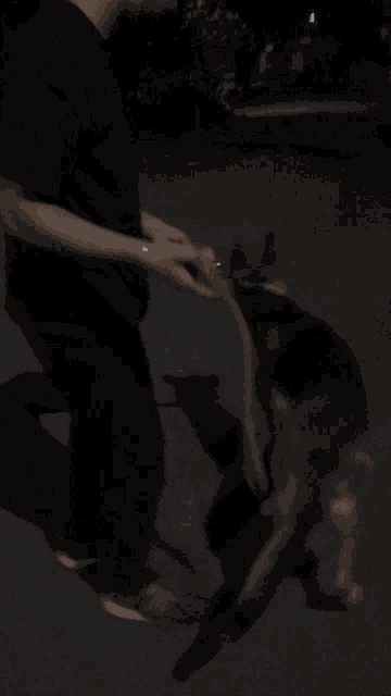 a man walking a german shepherd on a leash