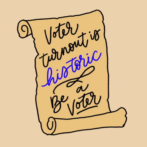 Voter Turnout Is Historic Be A Voter GIF - Voter Turnout Is Historic Be A Voter I Voted GIFs