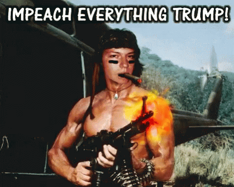 Impeach Everything Trump Impeach GIF - Impeach Everything Trump Impeach Trump GIFs