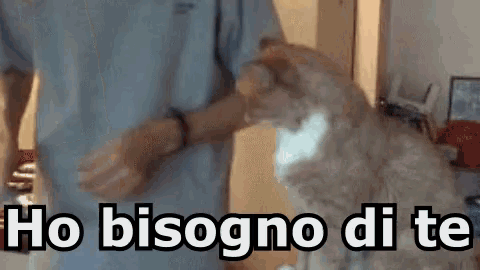 a man petting a cat with the words ho bisogno di te