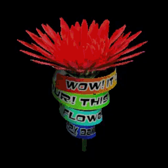 a colorful flower with the words wow our flow happy day written on it