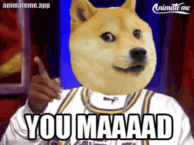 a doge wearing a basketball jersey says " you maaaad "