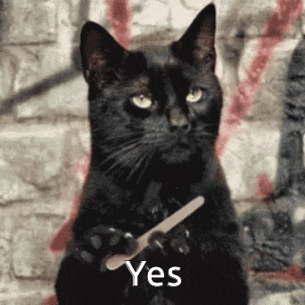 a black cat is holding a nail file in its paws and says yes on the bottom