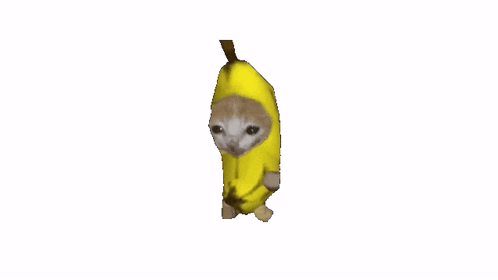 Banana Cat Running Sticker - Banana cat running - Discover & Share GIFs