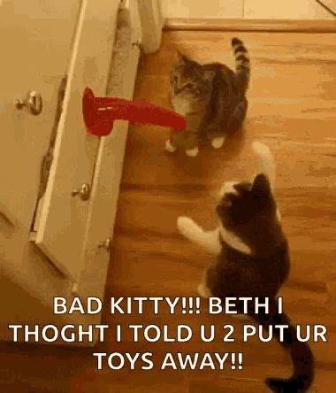 two cats are playing with a red toy in a closet .