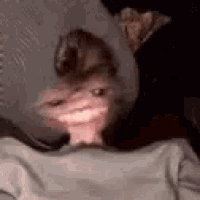 a close up of a person 's face with a blurred image of a cat 's face .