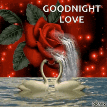a waterfall is coming out of a red rose and two swans are swimming in the water .