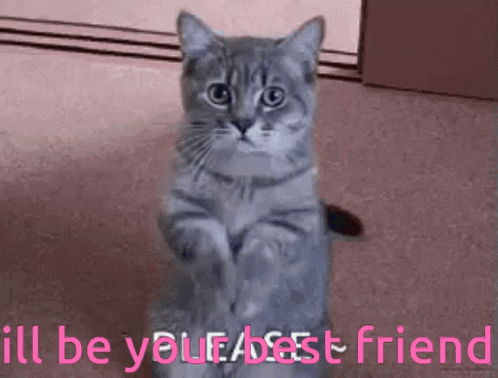 I Will Ill Be Your Best Friend GIF - I Will Ill Be Your Best Friend Begging GIFs