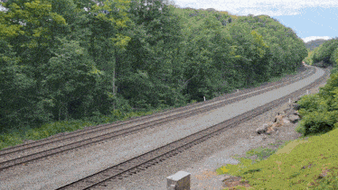 train tracks going through a forest with trees on the side