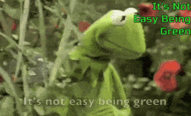 kermit the frog says it 's not easy being green in a garden
