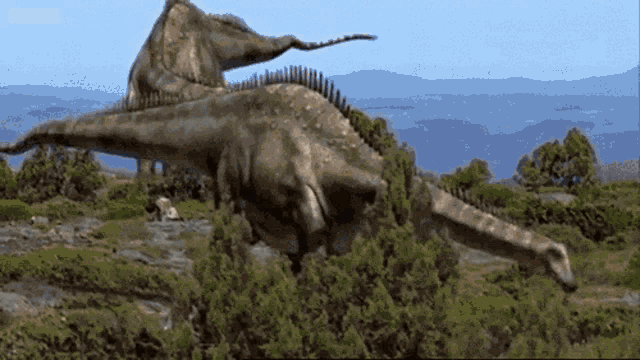 Diplodocus Allosaurus Walking With Dinosaurs GIF - Diplodocus Allosaurus Walking With Dinosaurs Animated GIFs