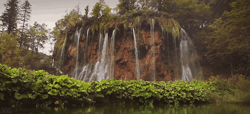 a waterfall in the middle of a forest with the word orbo on the bottom left