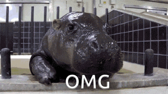 a hippopotamus laying in a bathtub with the word omg written below it