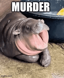 a baby hippo is laying on the ground with its mouth open and the word murder written on it .