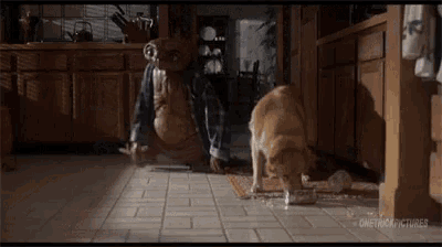 a dog is eating out of a bowl in a kitchen next to a person .