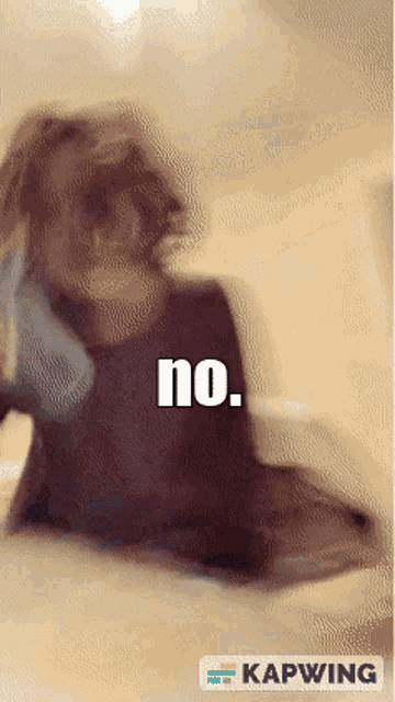 a blurred image of a person with the words " no " on the bottom