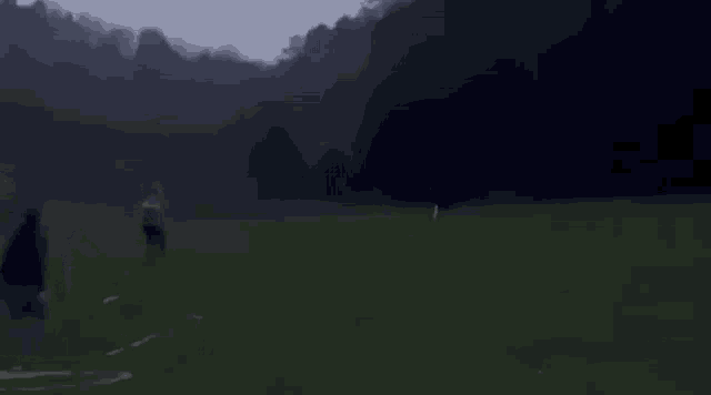 a blurry picture of a person walking in a field with trees in the background .
