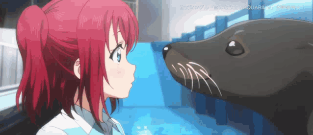 a girl with red hair looking at a seal in an aquarium