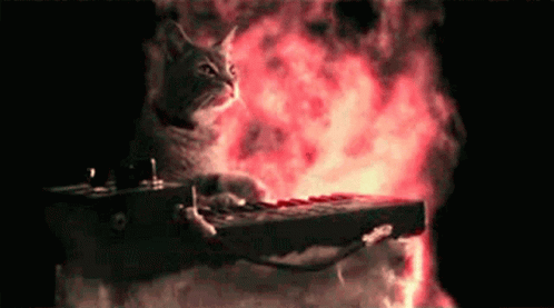 Cat Playing On Fire GIF - Cat Playing On Fire Lit GIFs