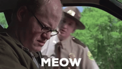 Meow Super GIF - Meow Super Troopers GIFs