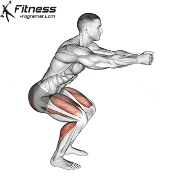 a drawing of a man squatting with a fitness programer.com logo in the corner
