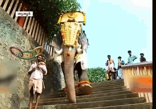 Elephant Parade GIF - Elephant Parade Going Downstairs GIFs