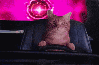 a cat is driving a car with a purple background