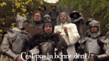 a group of men in armor with the words cest pas la bonne dent written below them
