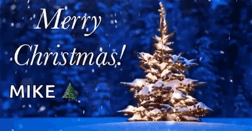 a merry christmas greeting card with a christmas tree in the background