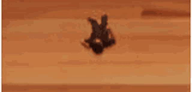 a silhouette of a person laying on their back on a wooden surface .