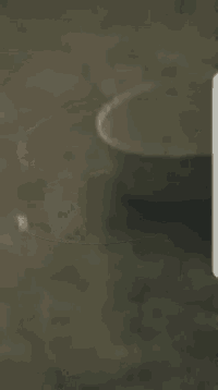 a white bowl is sitting on a gray surface .