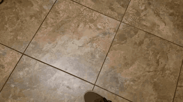 a person is walking down a set of stairs in a dark room .