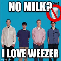 I Love Weezer GIF