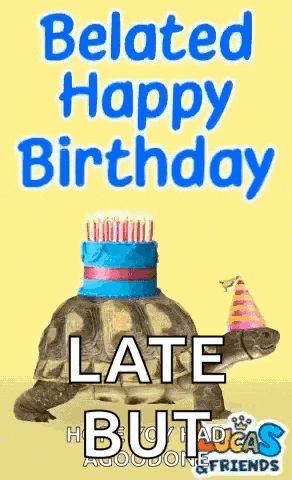 a turtle wearing a party hat and a birthday cake on its head .