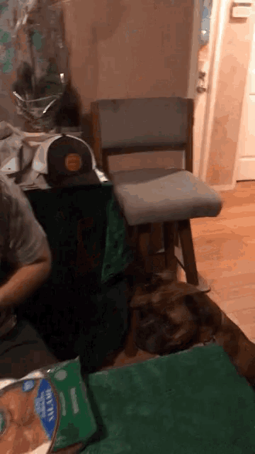 a bag of dog food sits on a table with a chair in the background
