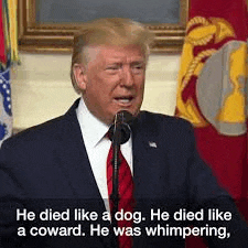 donald trump is giving a speech in front of a microphone and talking about a dog .