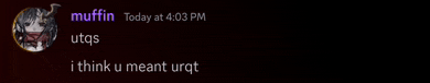 a screenshot of a chat with muffin today at 4:03 pm