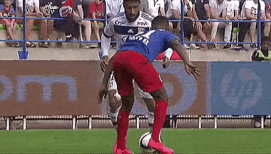 two soccer players are playing soccer on a field with a crowd watching .
