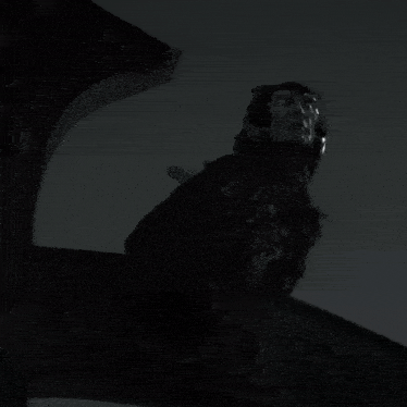 a black and white photo of a statue of a person with a bird on their head