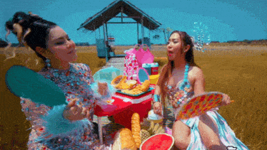 two women are having a picnic in a field with watermelon and bread